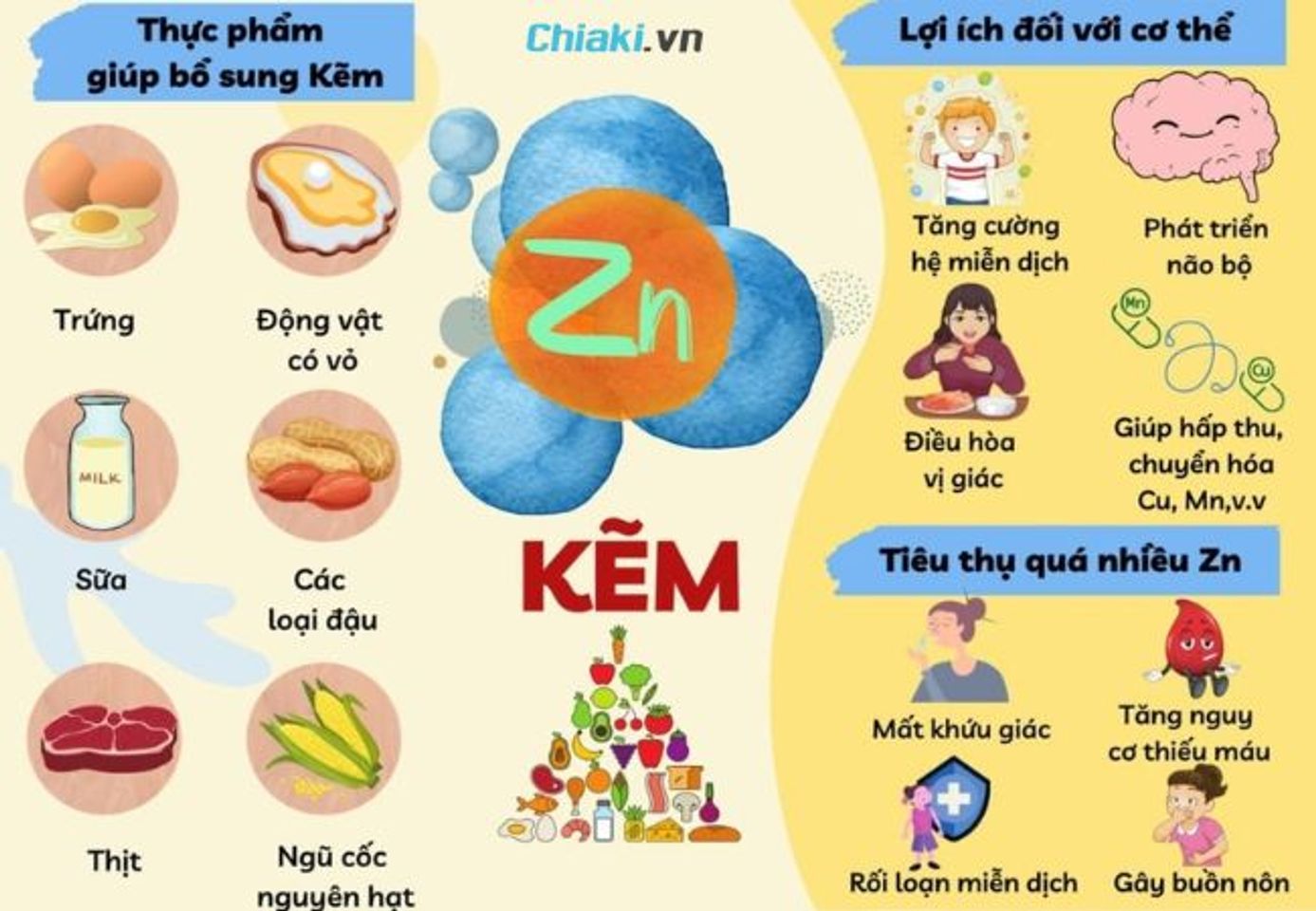 Kẽm đ&oacute;ng vai tr&ograve; quan trọng đối với sự ph&aacute;t triển to&agrave;n diện của cơ thể trẻ
