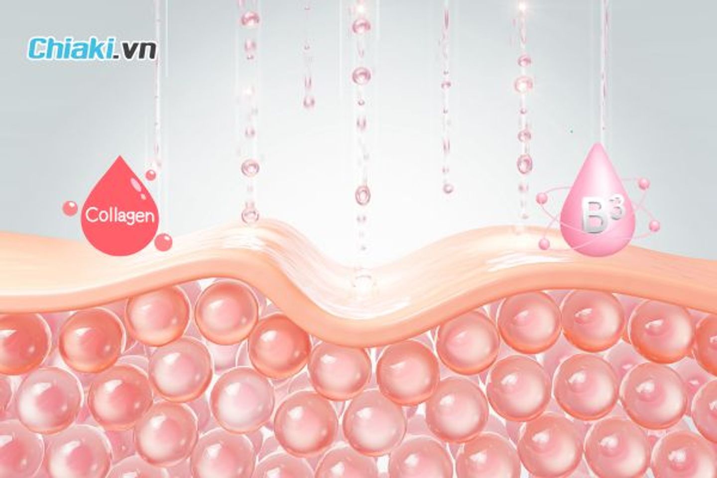 Về hiệu quả của nhau thai cừu v&agrave; collagen