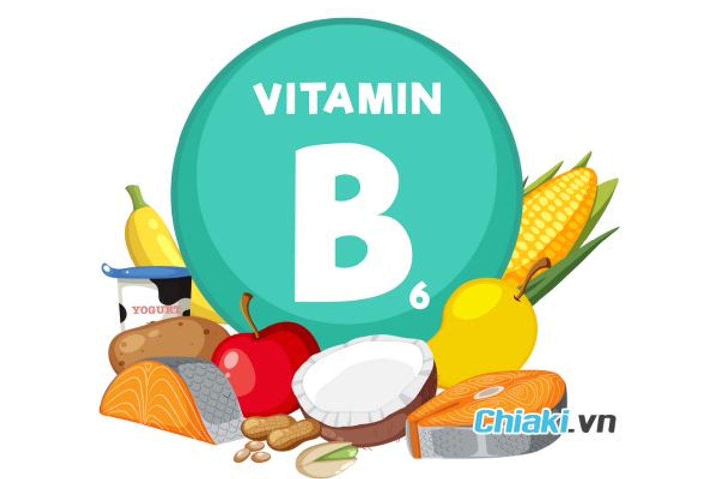 Vitamin B6 l&agrave; g&igrave;?