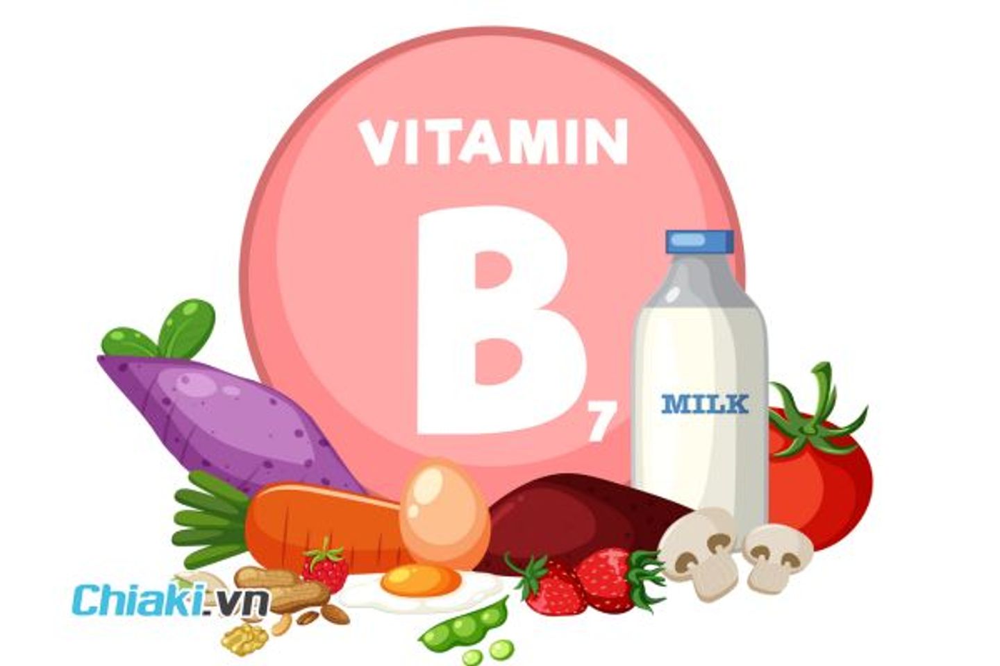 Vitamin B7 l&agrave; g&igrave;?