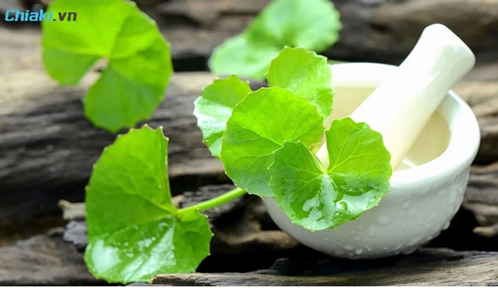 C&aacute;ch trị sẹo rỗ l&acirc;u năm tại nh&agrave; bằng rau m&aacute; k&iacute;ch th&iacute;ch sản sinh collagen