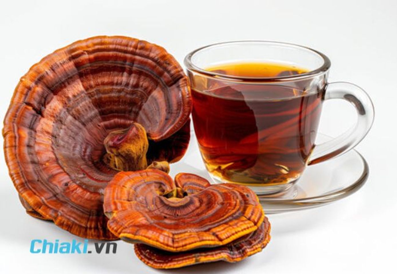 C&oacute; n&ecirc;n uống nấm linh chi h&agrave;ng ng&agrave;y kh&ocirc;ng