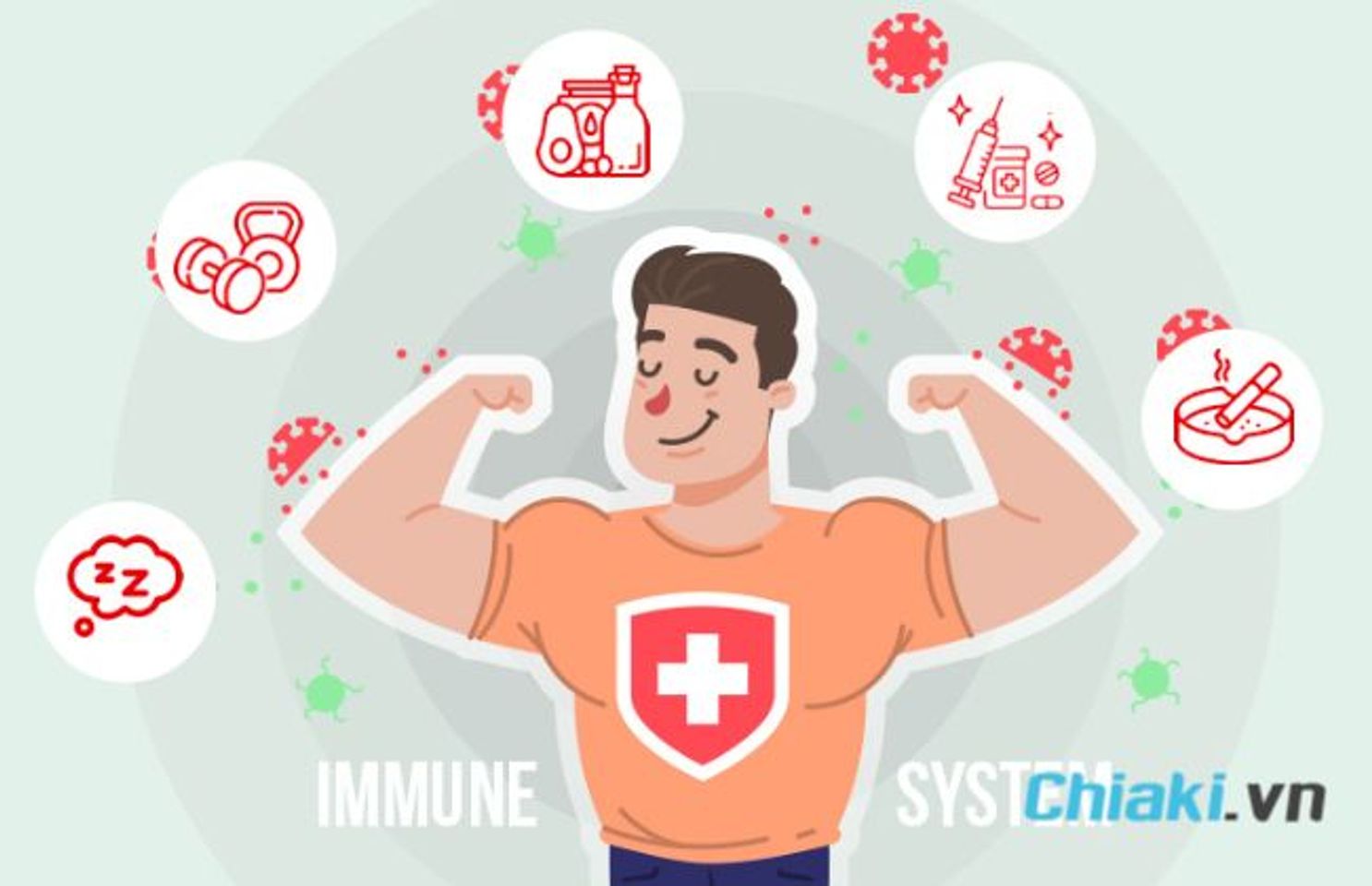 Kỷ tử hữu cơ gi&uacute;p tăng cường hệ miễn dịch