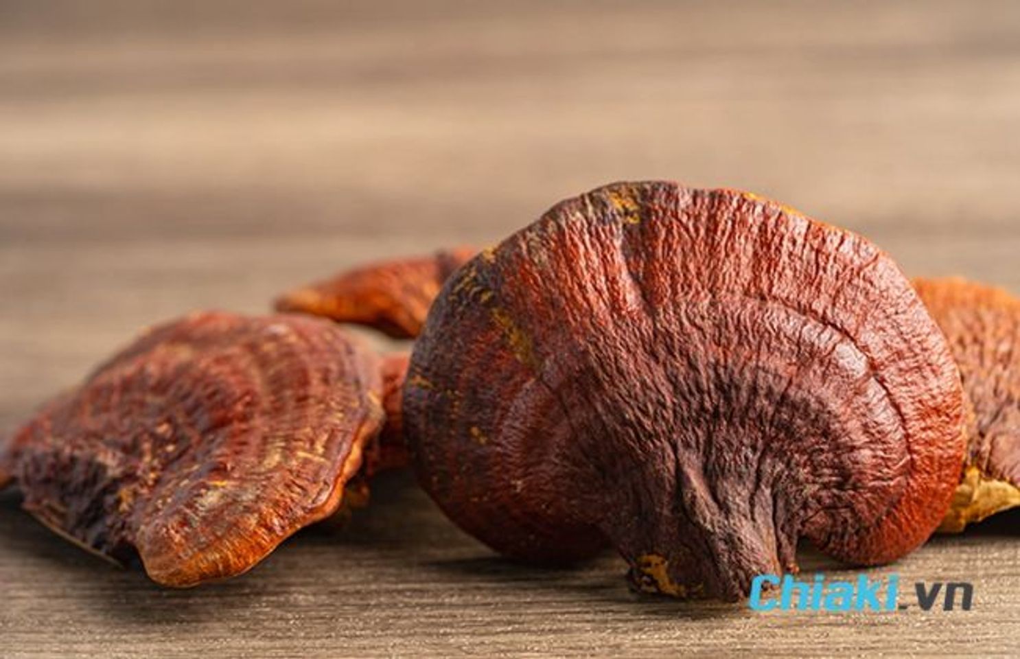 C&aacute;c yếu tố ảnh hưởng đến gi&aacute; nấm linh chi