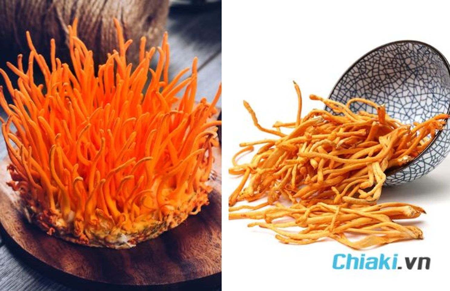 Đ&ocirc;ng tr&ugrave;ng hạ thảo tươi v&agrave; kh&ocirc;