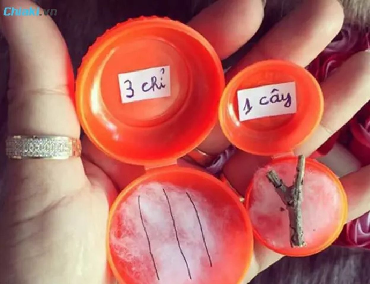 Chỉ v&agrave;ng, c&acirc;y v&agrave;ng theo đ&uacute;ng nghĩa đen l&agrave; m&oacute;n qu&agrave; vừa buồn cười vừa muốn kh&oacute;c