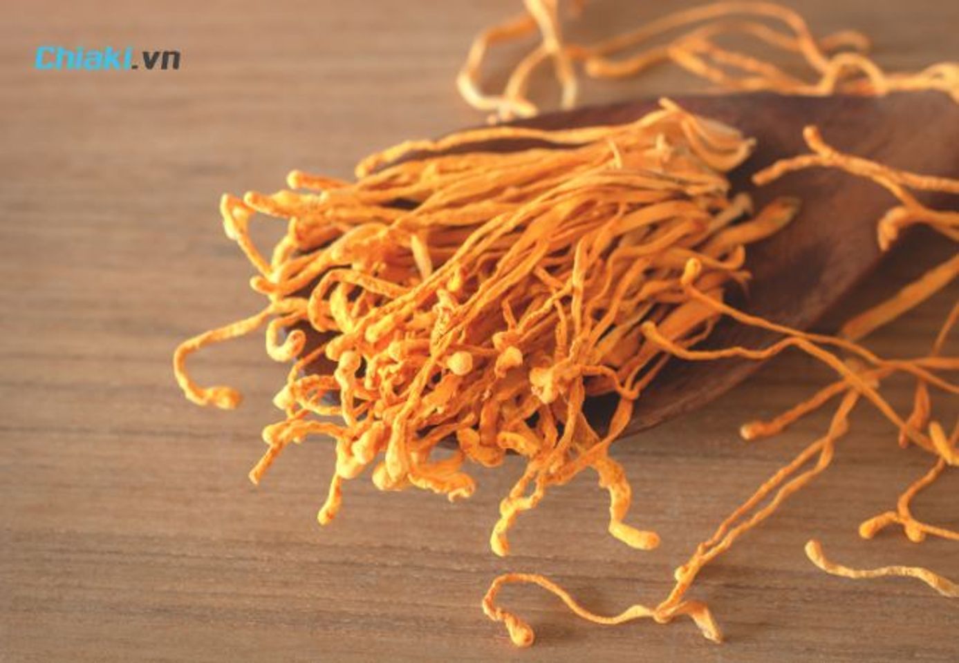 Đ&ocirc;ng tr&ugrave;ng hạ thảo hỗ trợ tăng cường sinh lực, cải thiện chức năng h&ocirc; hấp v&agrave; miễn dịch.