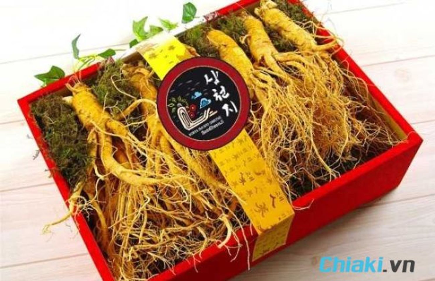 Qu&agrave; sinh nhật cho nữ - Nh&acirc;n s&acirc;m