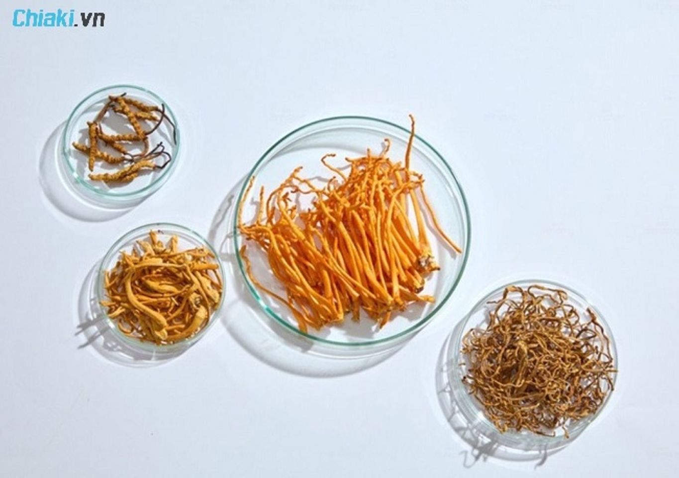 Th&agrave;nh phần Adenosine trong đ&ocirc;ng tr&ugrave;ng hạ thảo hỗ trợ thư gi&atilde;n thần kinh, giảm stress
