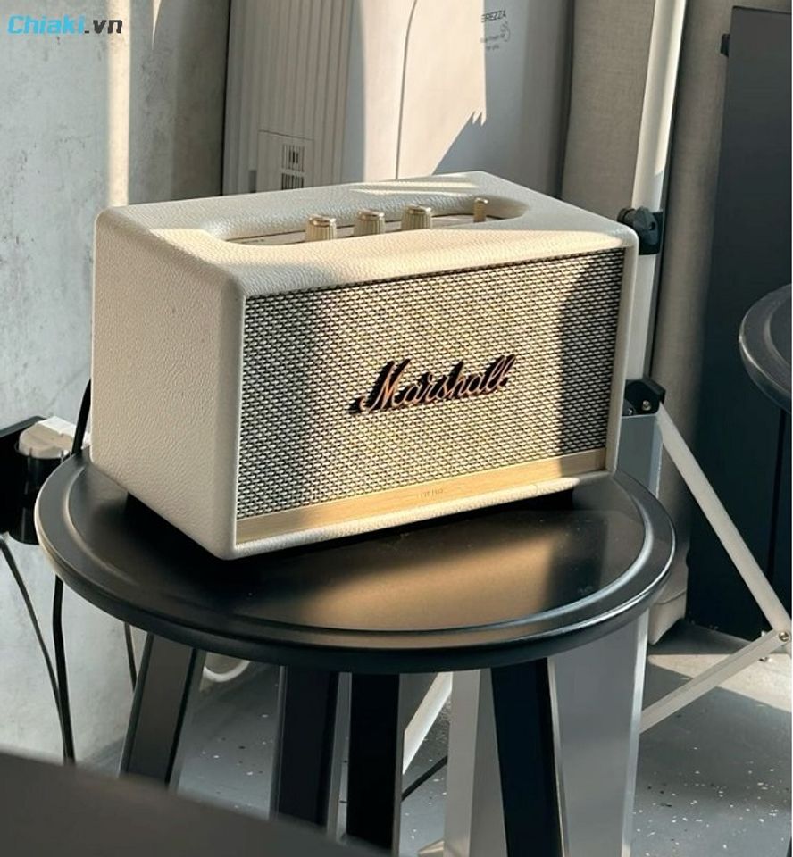 Loa bluetooth cao cấp thiết kế phong c&aacute;ch vintage, retro hoặc hiện đại, dễ d&agrave;ng h&ograve;a hợp với kh&ocirc;ng gian qu&aacute;n.