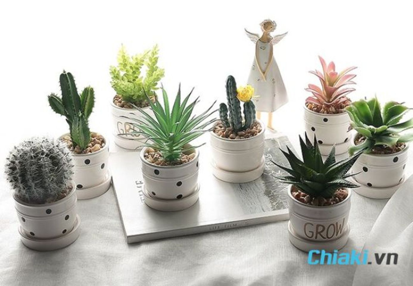 Qu&agrave; sinh nhật cho nam dưới 100k - Chậu c&acirc;y mini