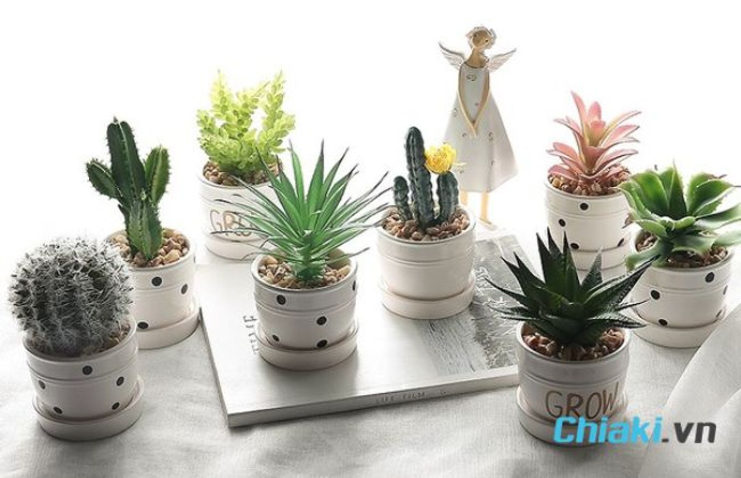 Qu&agrave; sinh nhật cho nữ dưới 50k - Chậu c&acirc;y mini