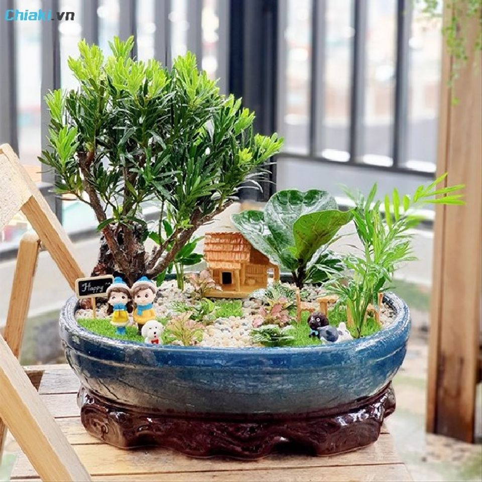 Chậu c&acirc;y phong thủy mini để b&agrave;n n&ecirc;n lựa chọn c&aacute;c loại c&acirc;y dễ chăm s&oacute;c