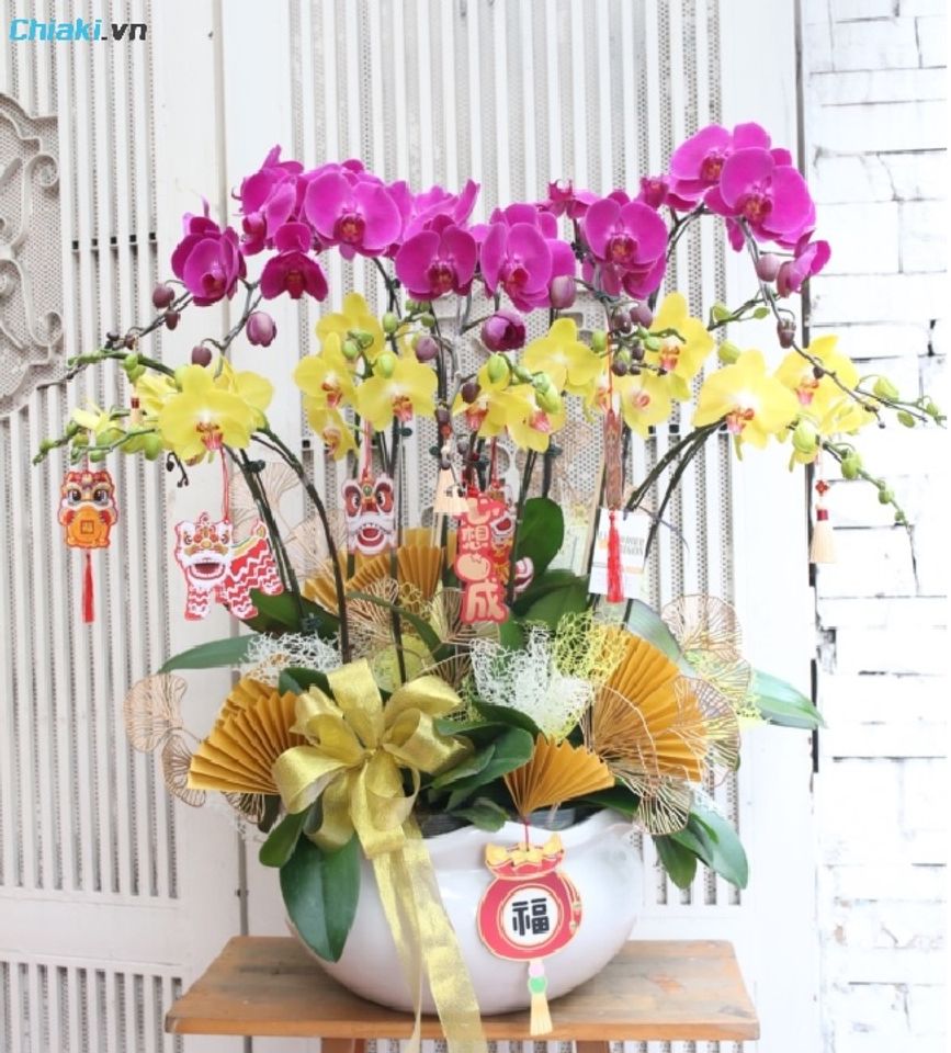 Lẵng hoa lan Hồ Điệp ch&uacute;c mừng l&agrave; m&oacute;n qu&agrave; vừa đẹp mắt vừa mang &yacute; nghĩa phong thủy, dễ g&acirc;y ấn tượng ngay từ c&aacute;i nh&igrave;n đầu ti&ecirc;n.