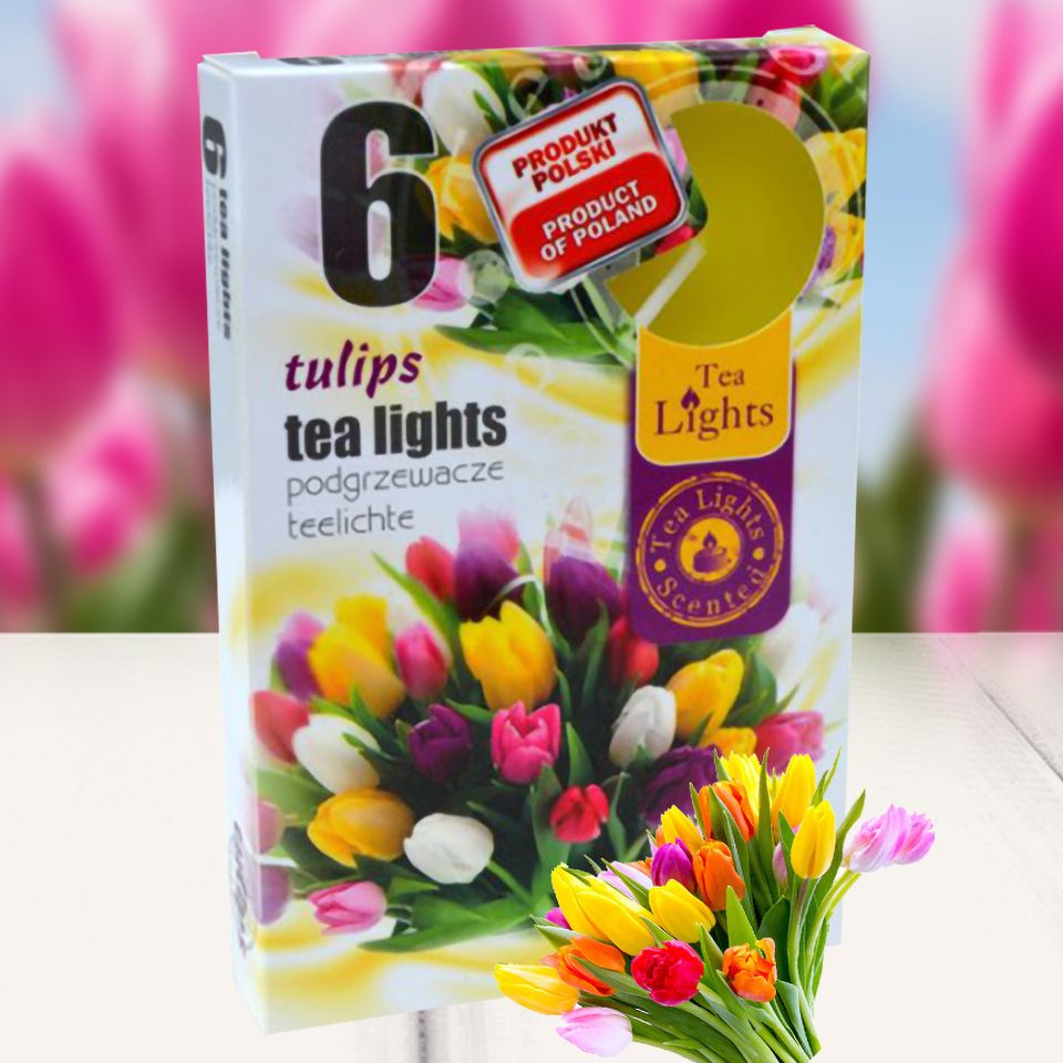 Hộp 6 nến thơm tinh dầu Tealight QT026054 hương hoa tulips 1