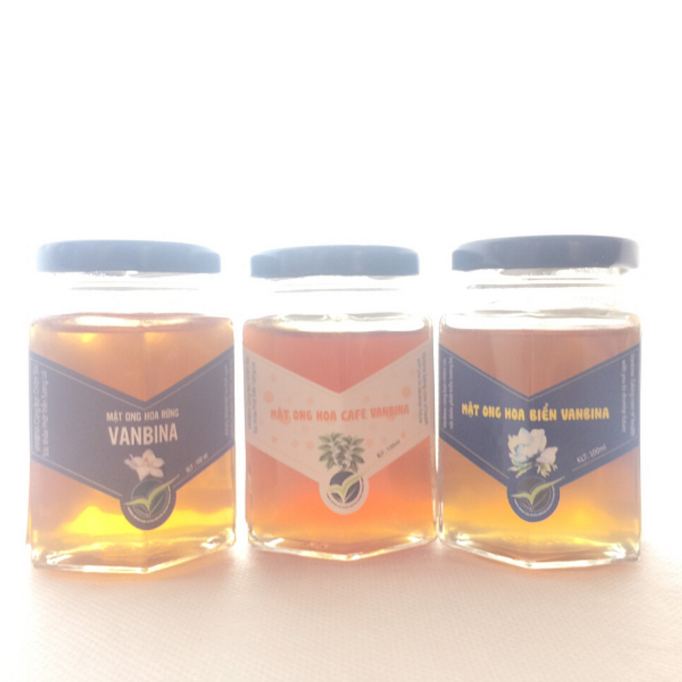 Combo 3 chai mật ong nguyên chất xuất khẩu Vanbina 250gr 1