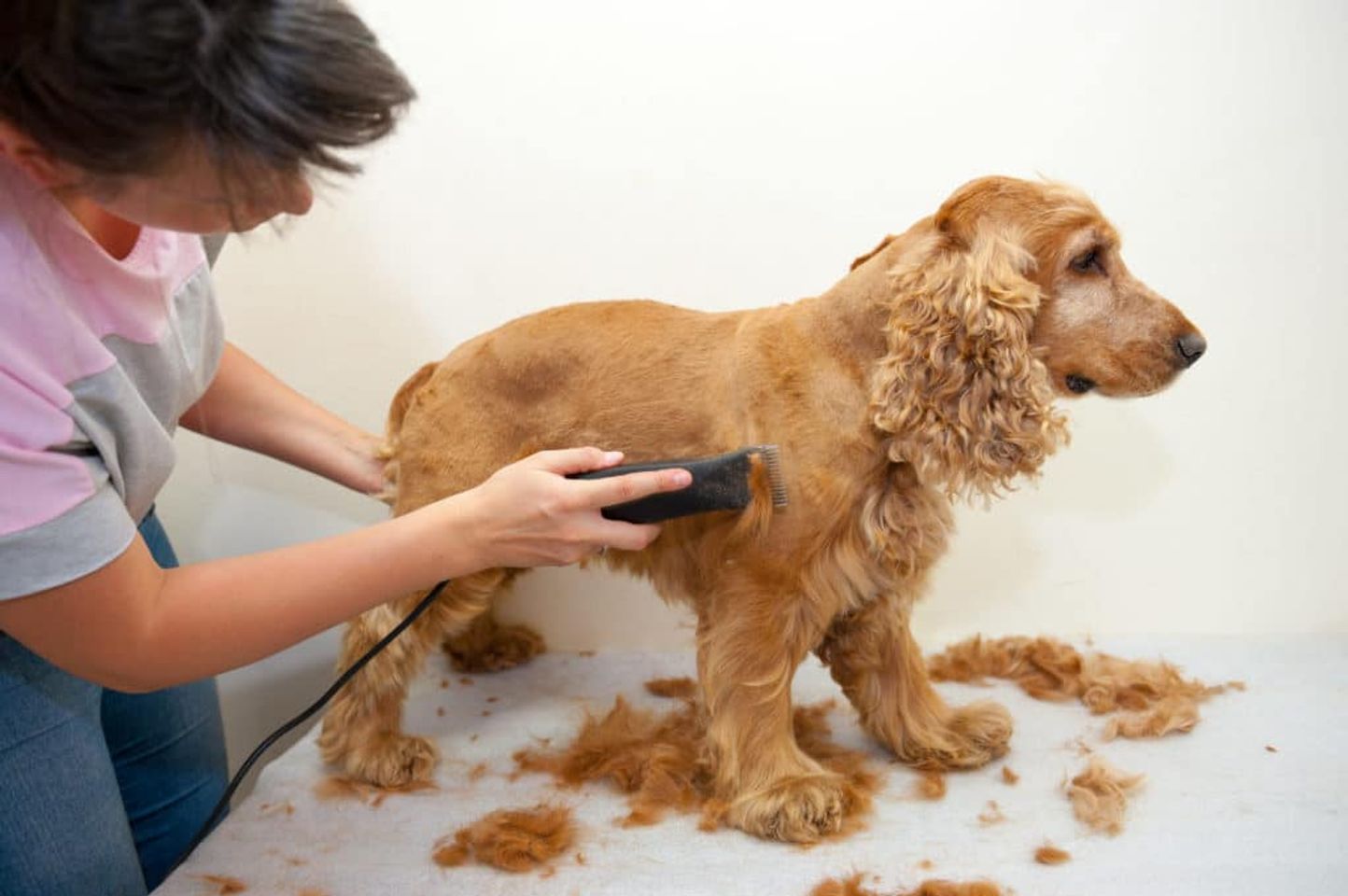 Voucher tắm vệ sinh trọn gói cho chó mèo lông dài 15kg đến 20kg 2