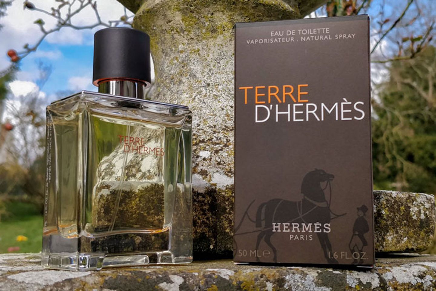Nước hoa nam Hermes Terre D Hermès Eau de Toilette 2