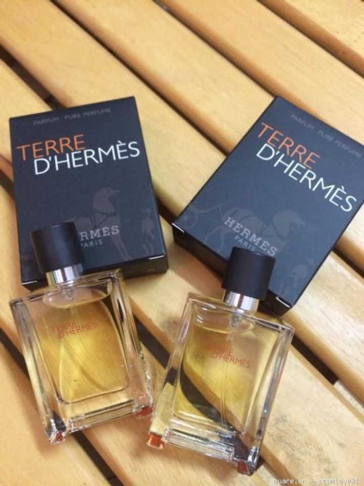 Nước hoa nam Hermes Terre D Hermès Parfum EDP 2