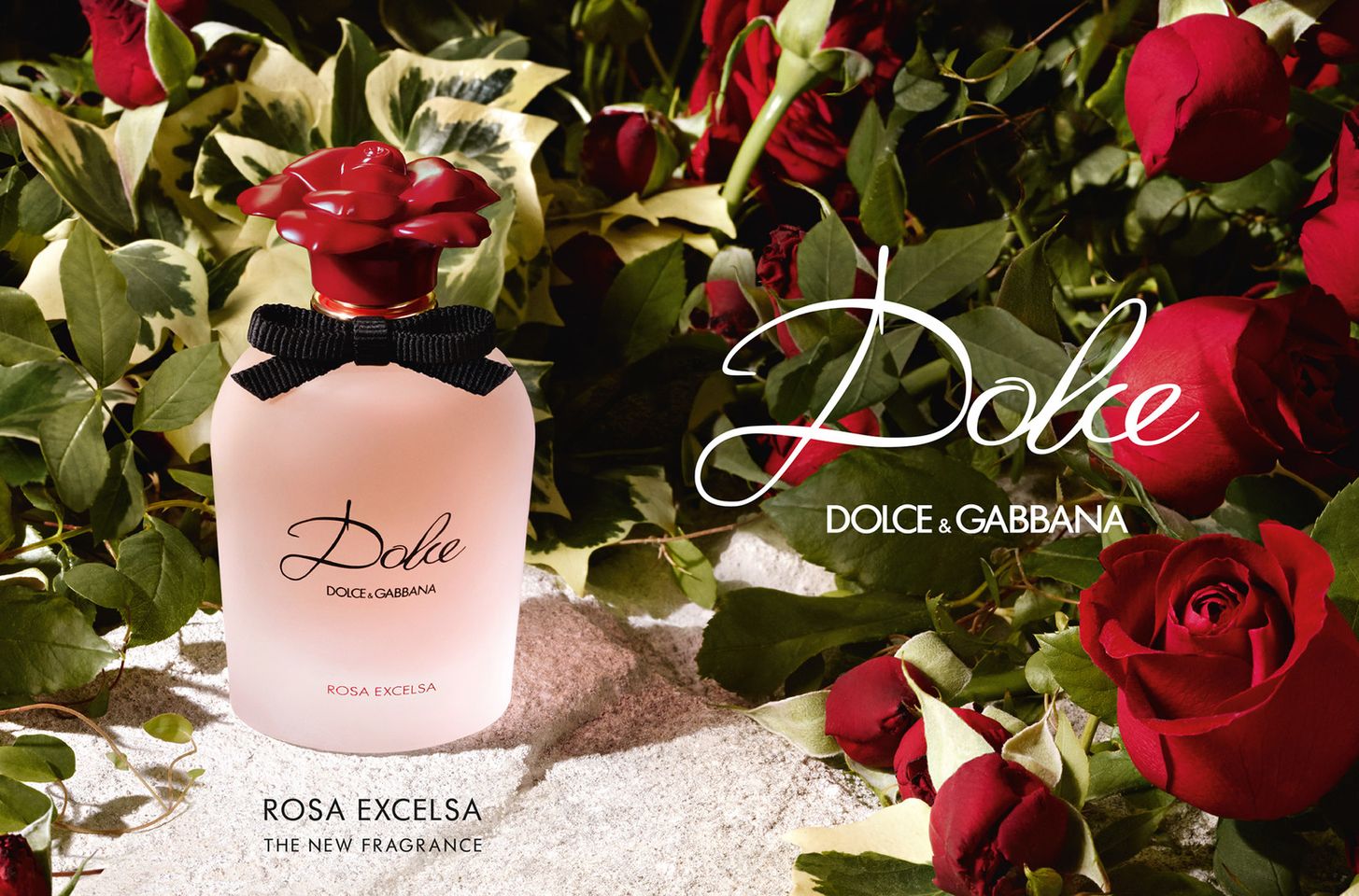 Nước hoa nữ Dolce Gabbana Dolce Rosa Excelsa EDP 2