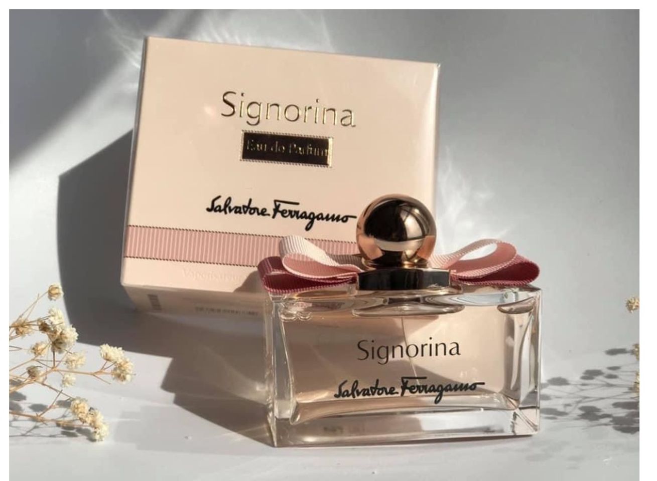 Nước hoa nữ Salvatore Signorina Eau de Parfum 1