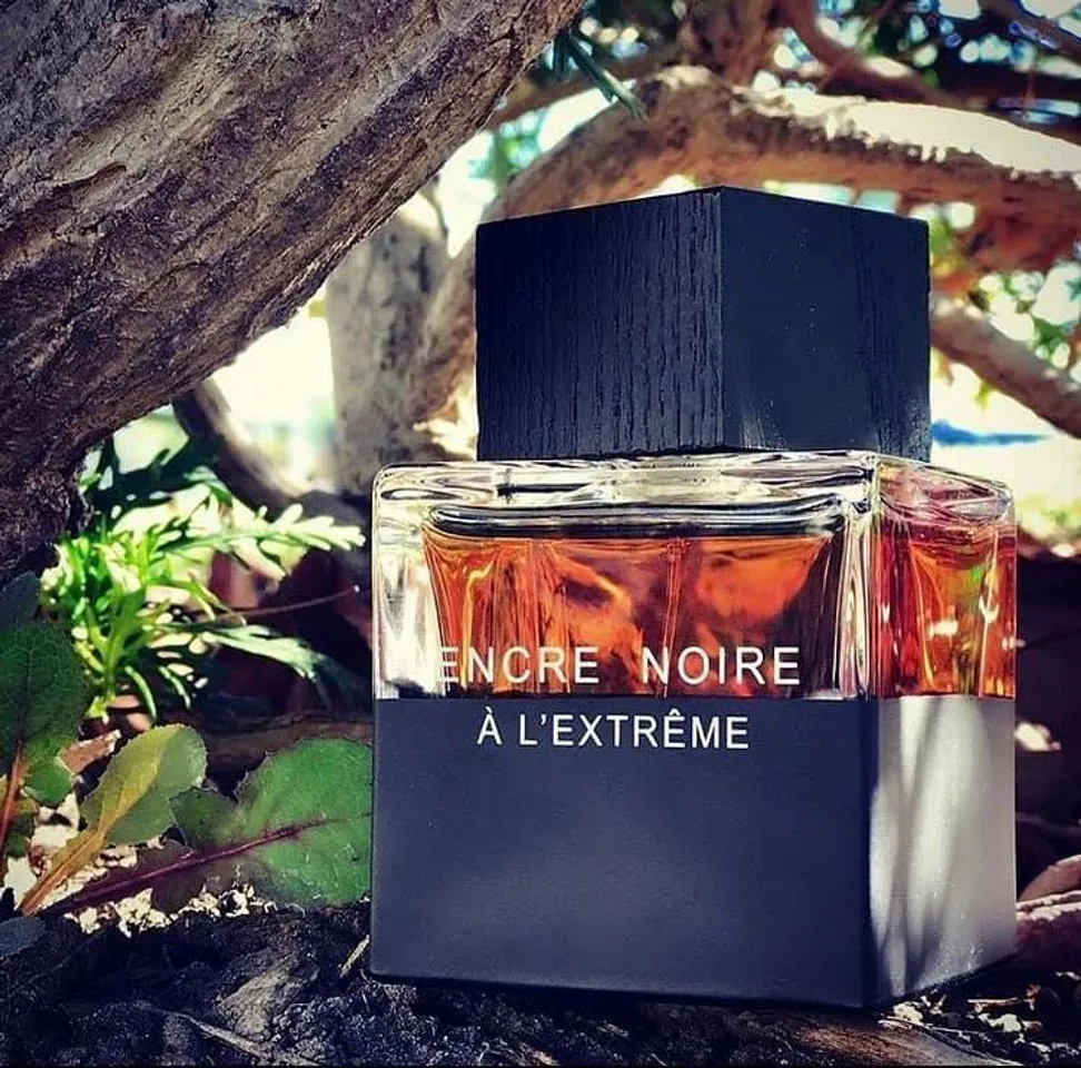 Nước hoa nam Lalique Encre Noire A L Extreme 2