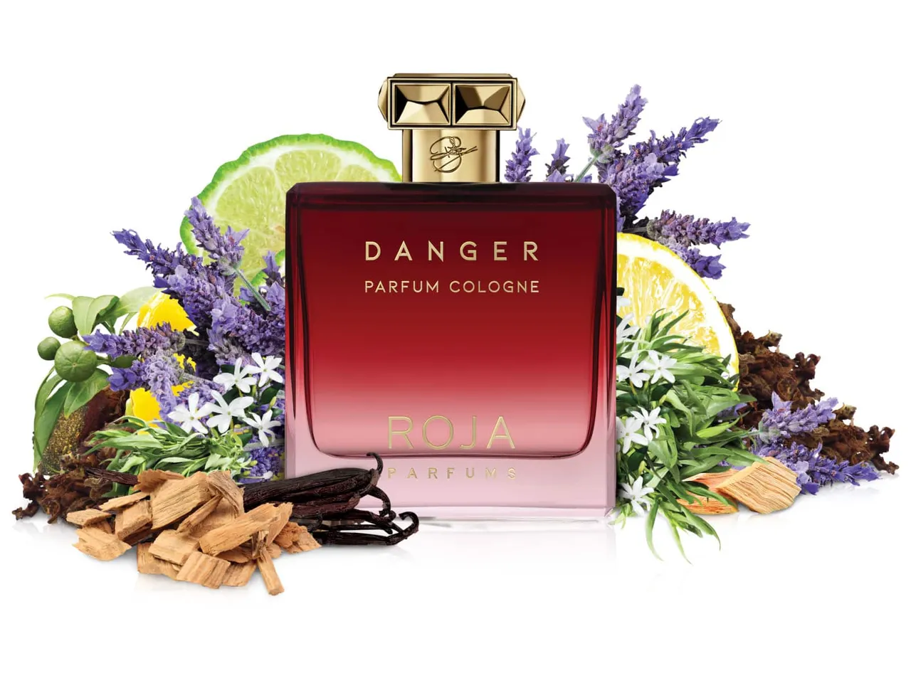 Nước hoa nam Roja Dove Danger Pour Homme Parfum Cologne 1
