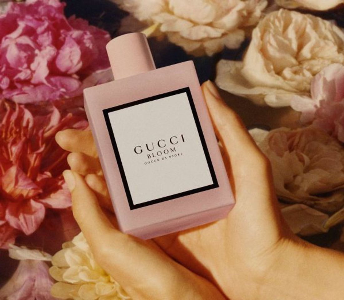 Nước hoa Gucci Bloom Gocce Di Fiori EDT 1