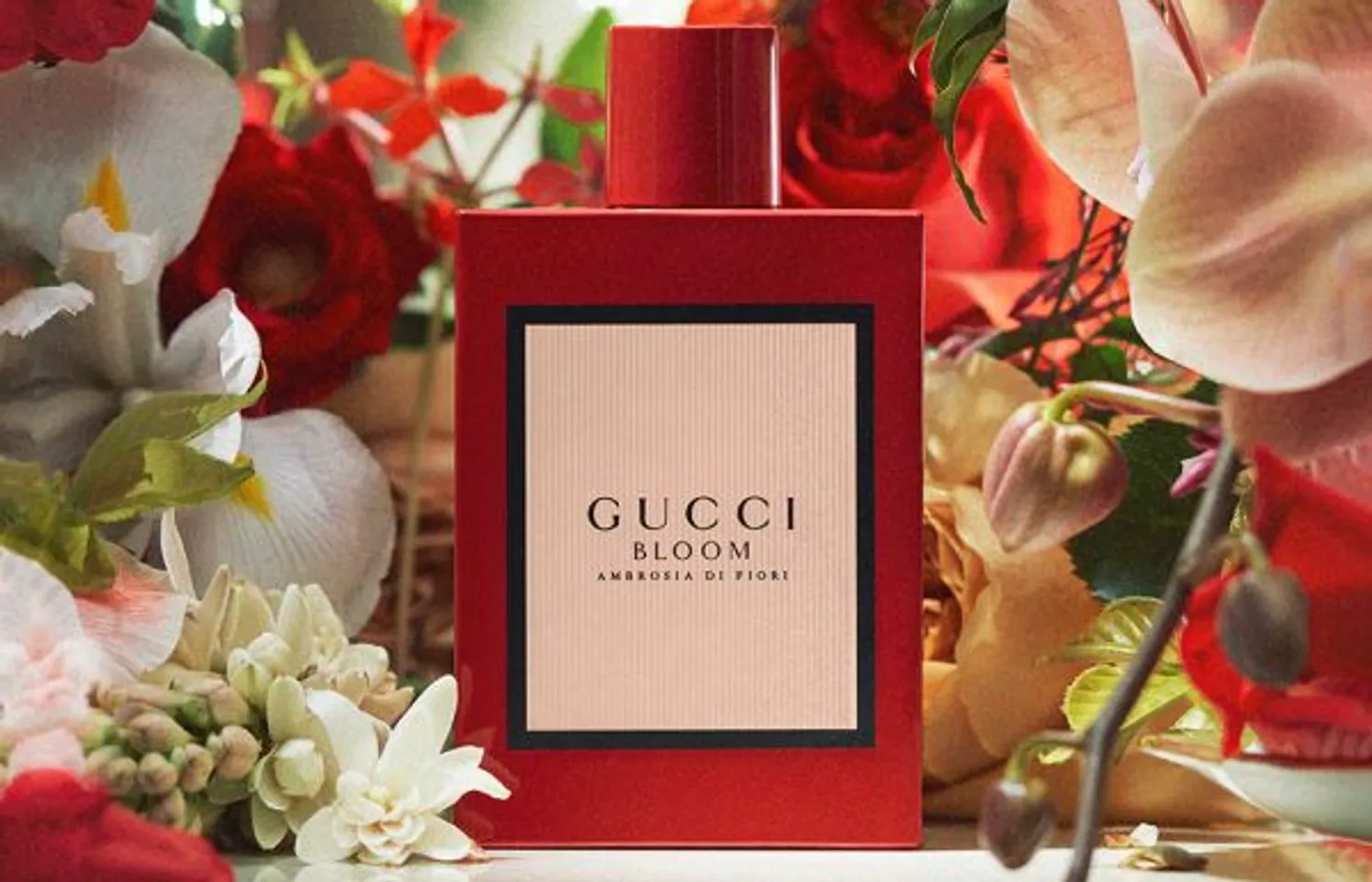 Nước hoa Gucci Bloom Ambrosia Di Fiori 2