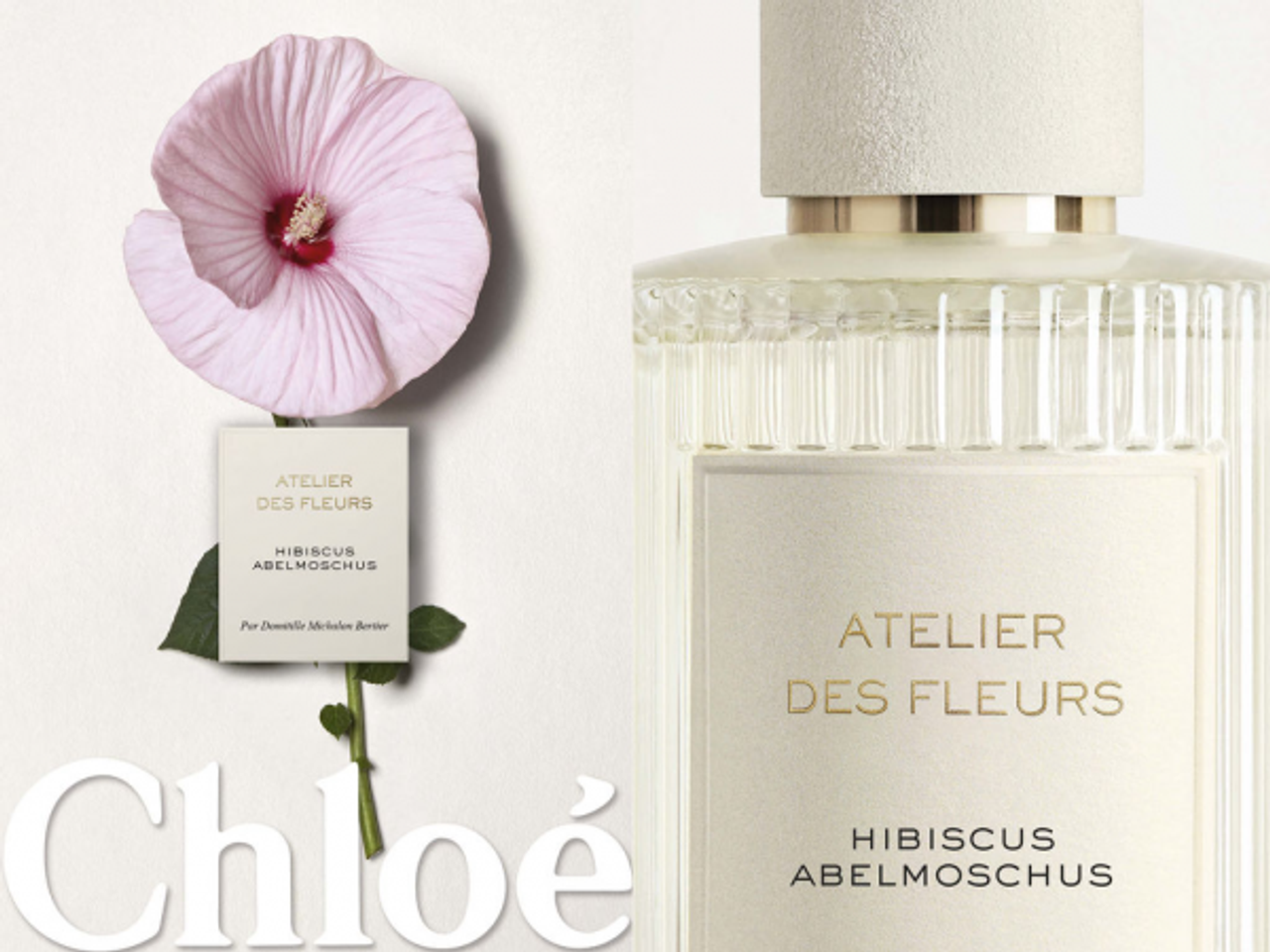 Nước hoa Chloé Atelier Des Fleurs Hibiscus Abelmoschus EDP 3