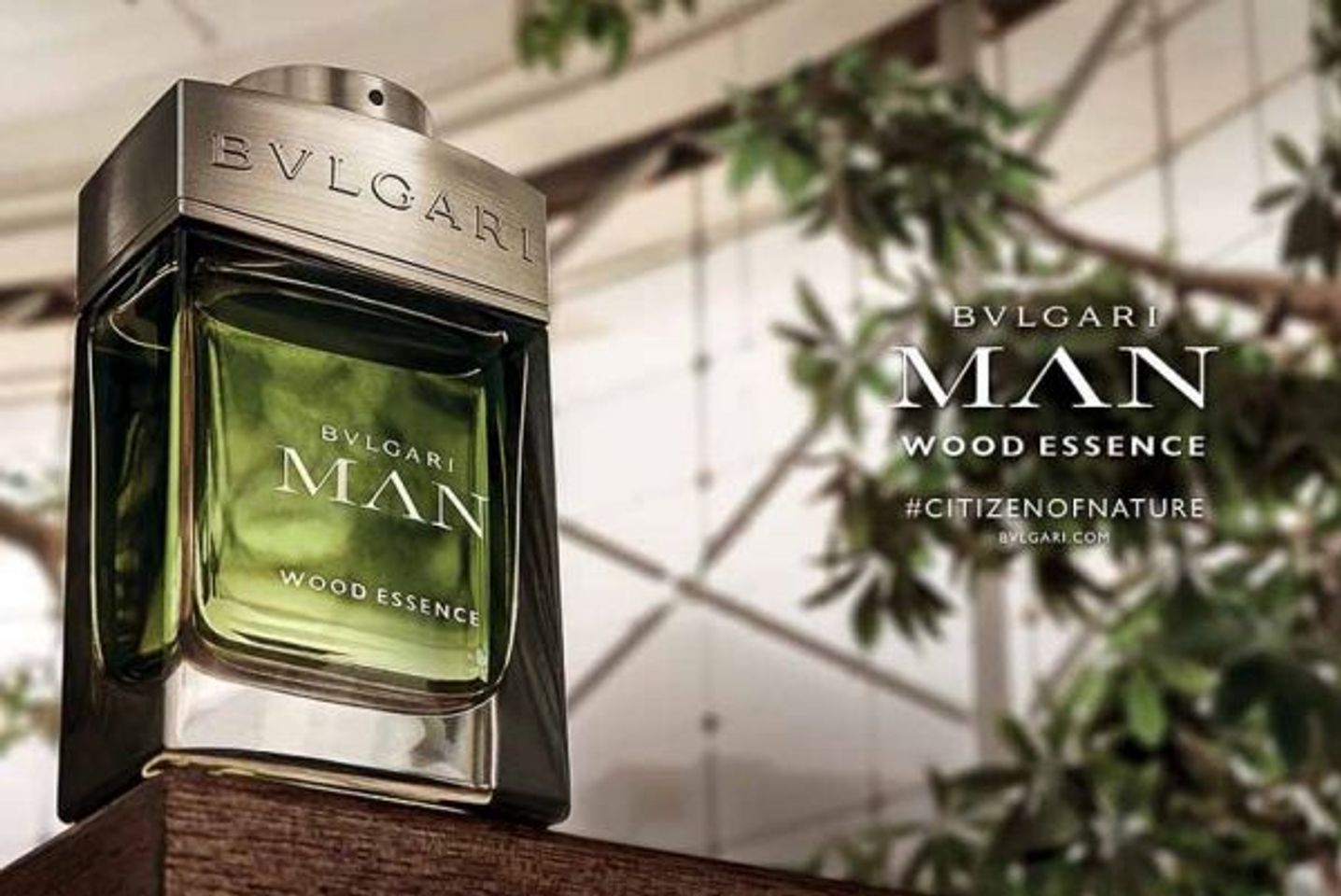 Nước hoa Bvlgari Man Wood Essence 1