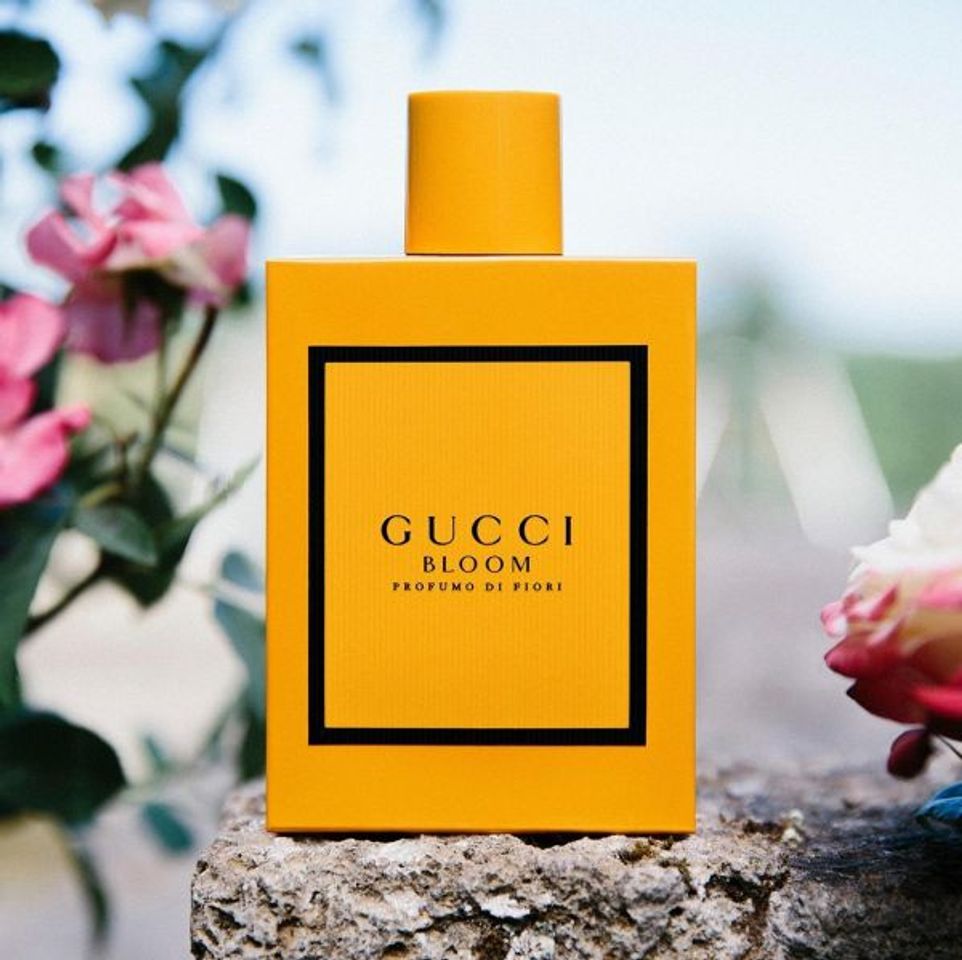 Nước hoa Gucci Bloom Profumo Di Fiori EDP 1