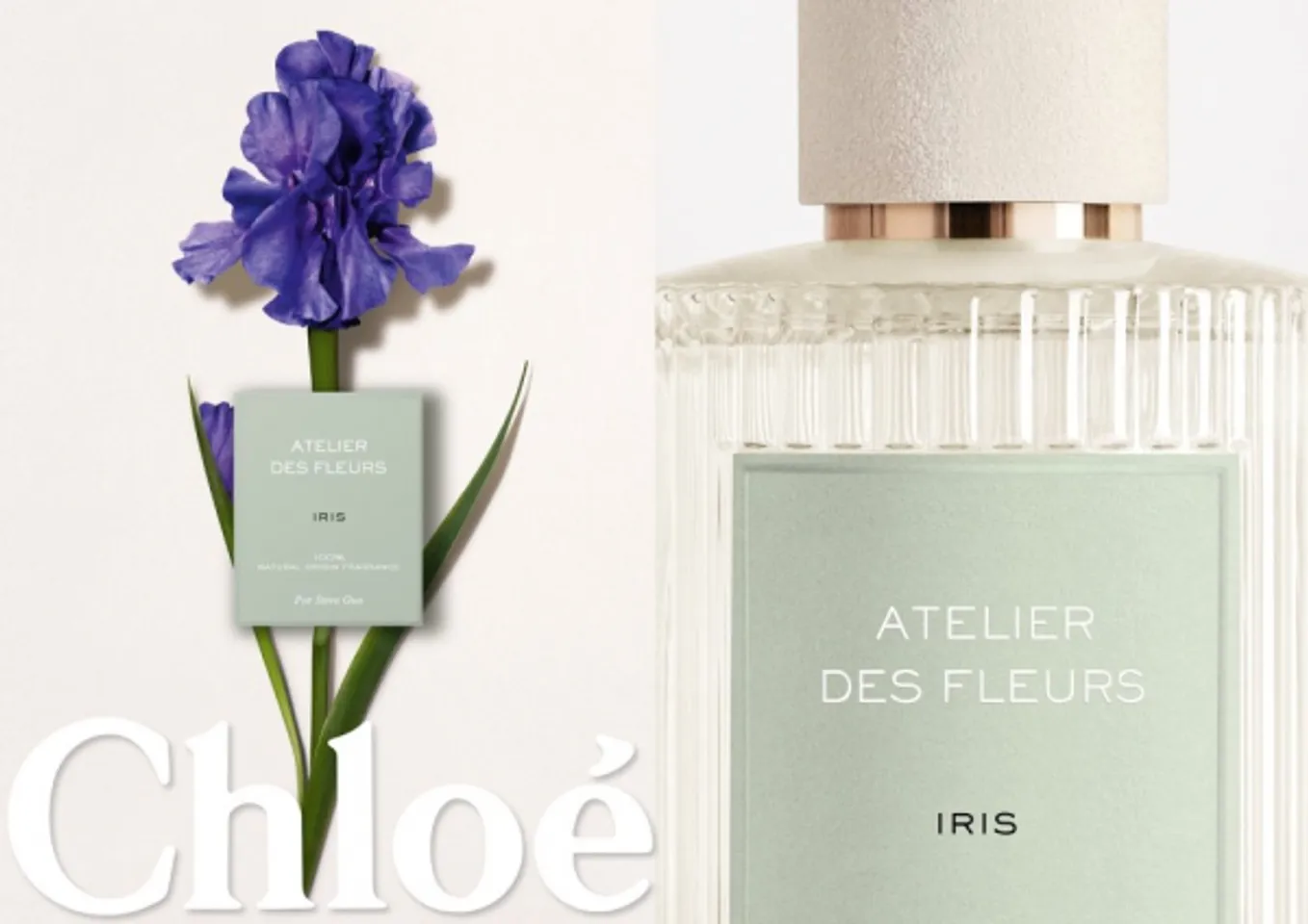 Nước hoa Chloé Atelier Des Fleurs Iris EDP 4