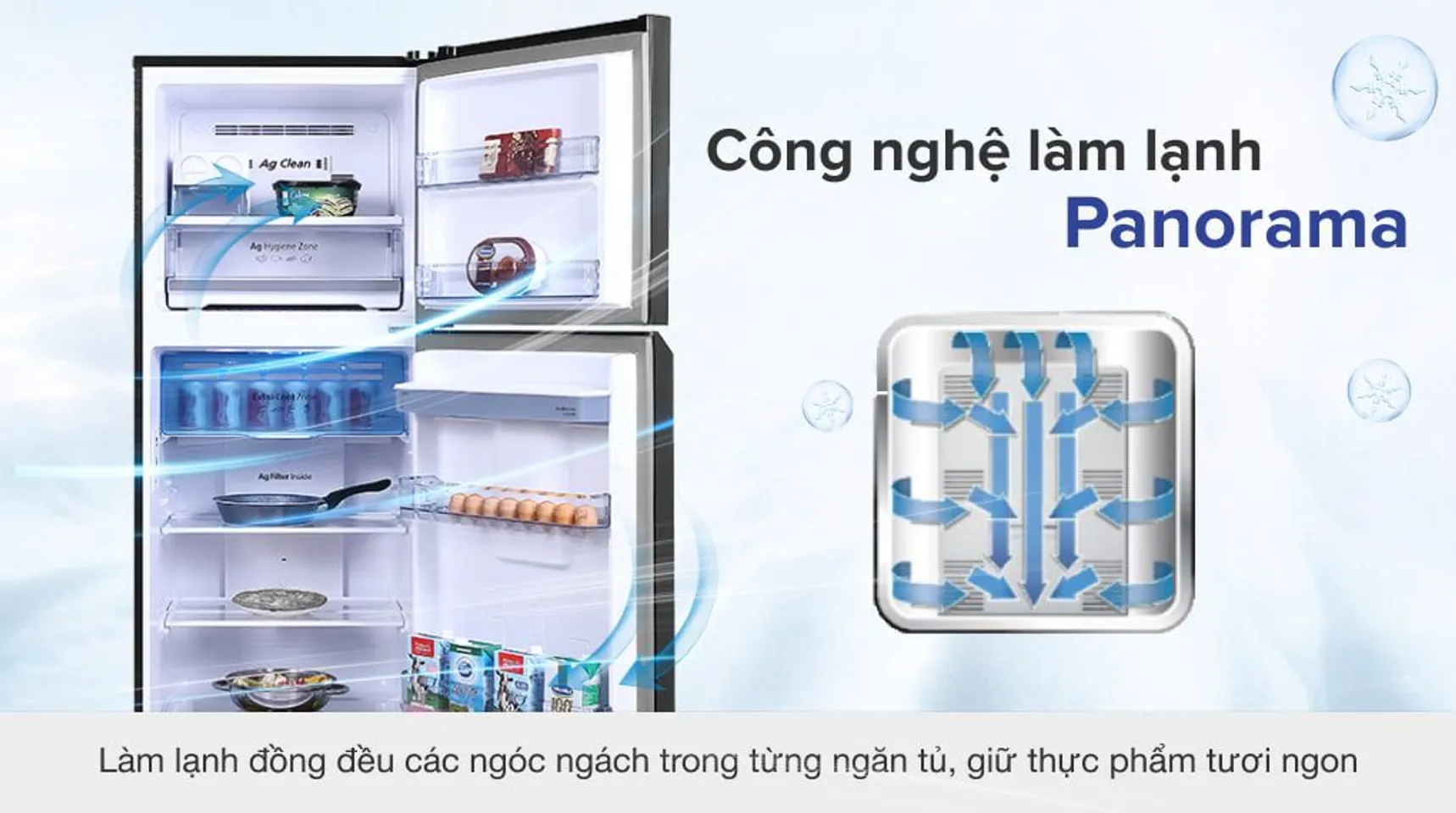 Tủ lạnh Panasonic NR-TL381GPKV inverter 366 lít 2