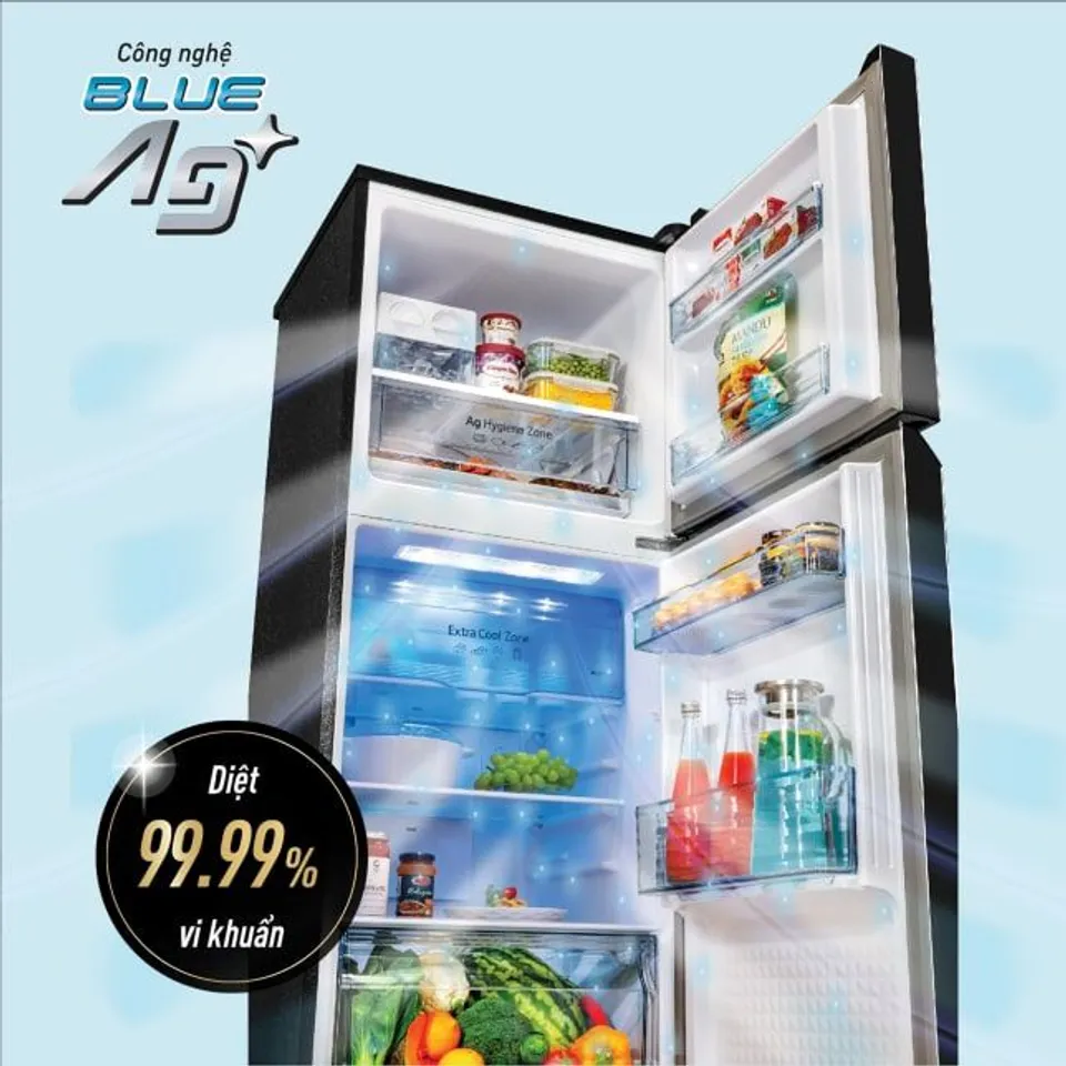 Tủ lạnh Panasonic NR-TL351BPKV inverter 326 lít 4