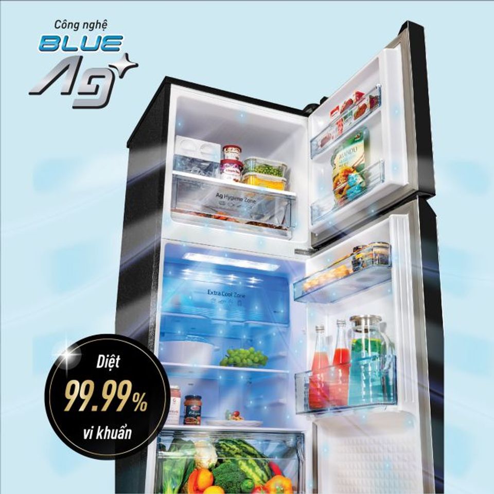 Tủ lạnh Panasonic NR-TV301BPKV inverter 268 lít 1