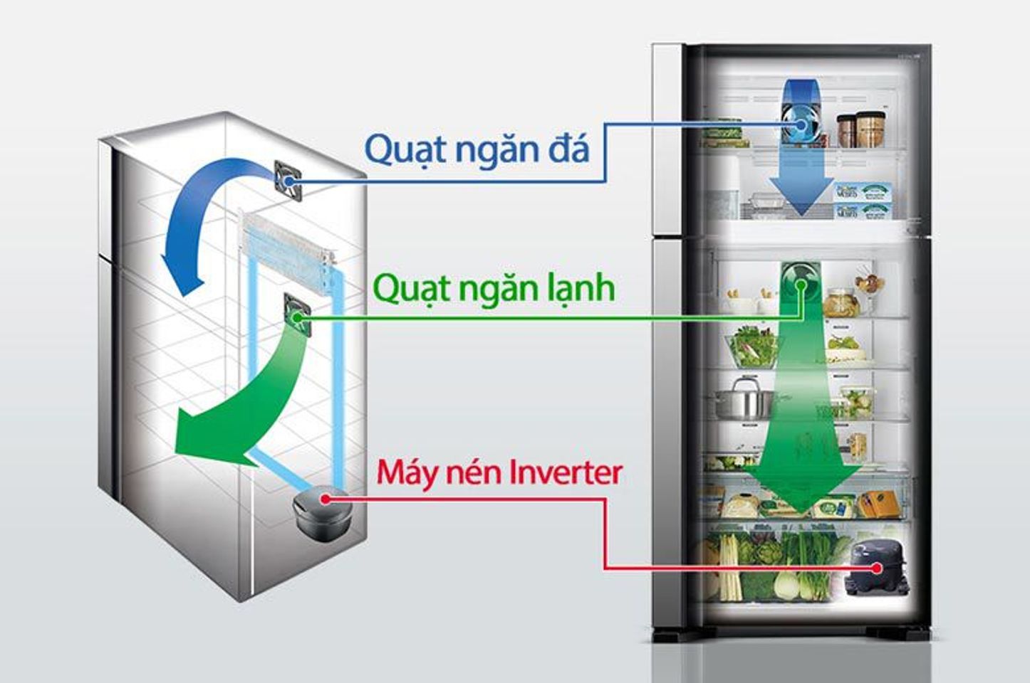 Tủ lạnh Hitaichi R-FG510PGV8(GBW) với thiết kế hệ thống quạt kép