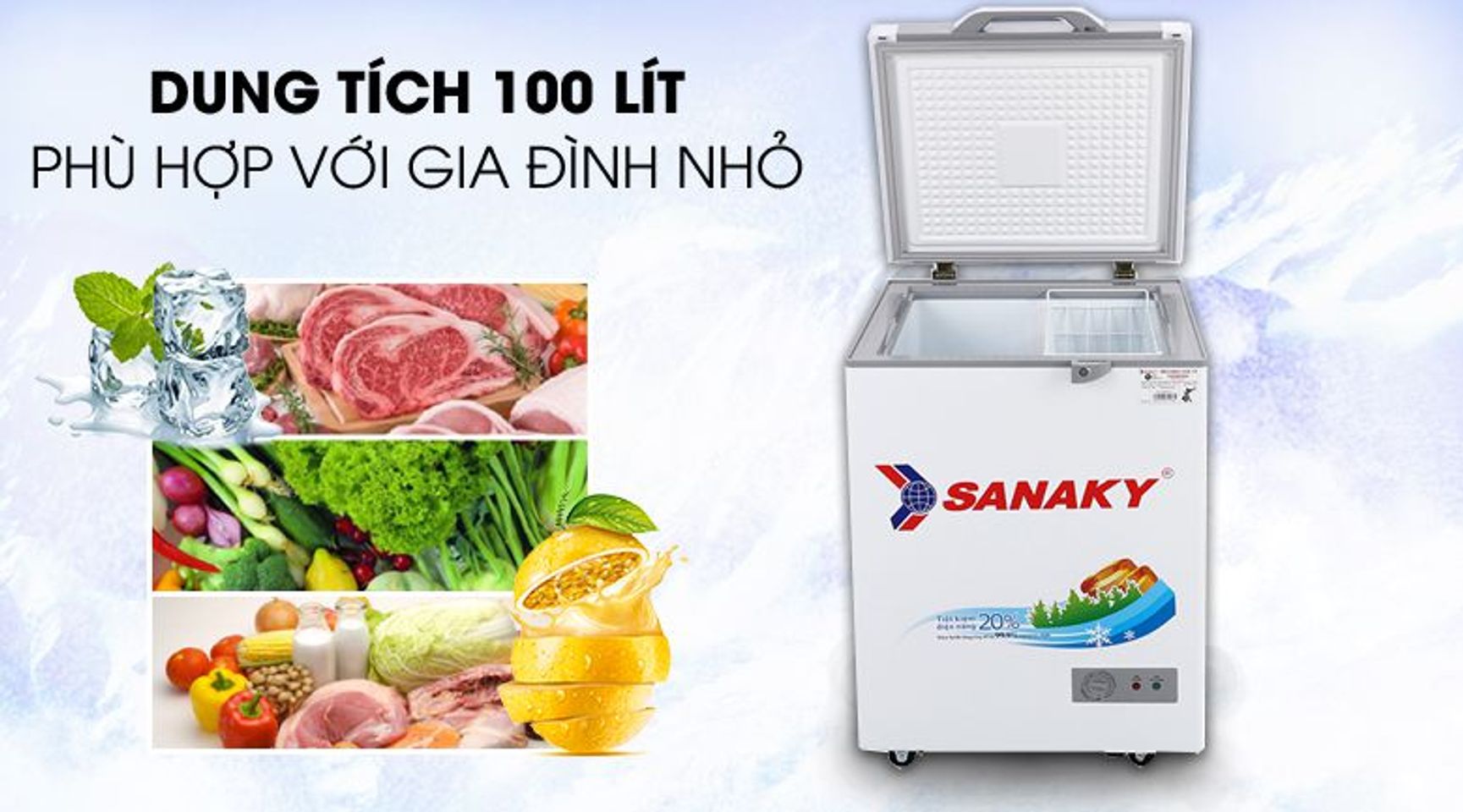 Tủ đông Sanaky VH-1599HYK 1 ngăn đông 100 lít 2