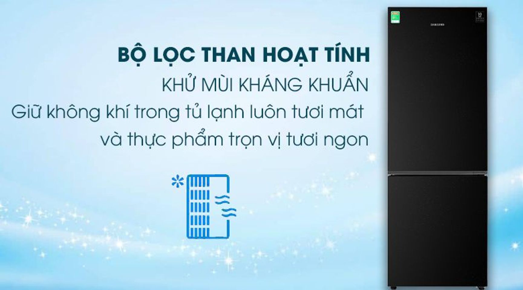 Tủ lạnh Samsung RB30N4010BU/SV inverter 310 lít 6