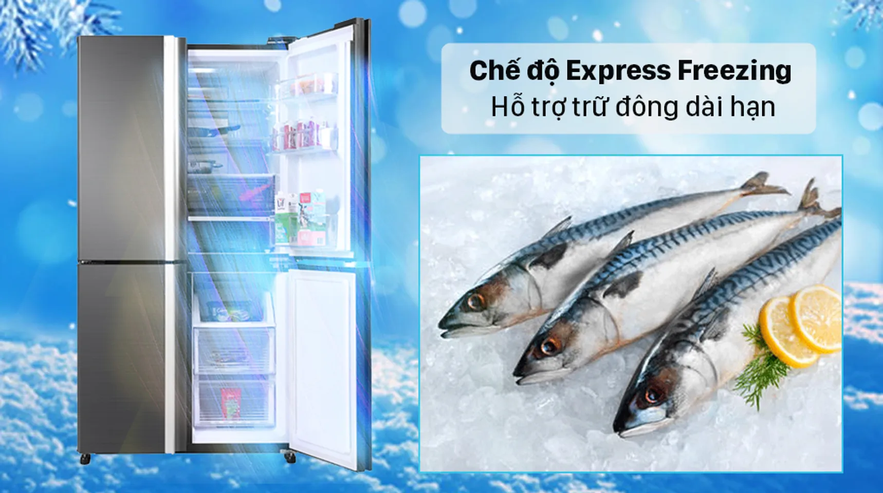 Tủ lạnh Sharp SJ-FX600V-SL inverter 525 lít 5