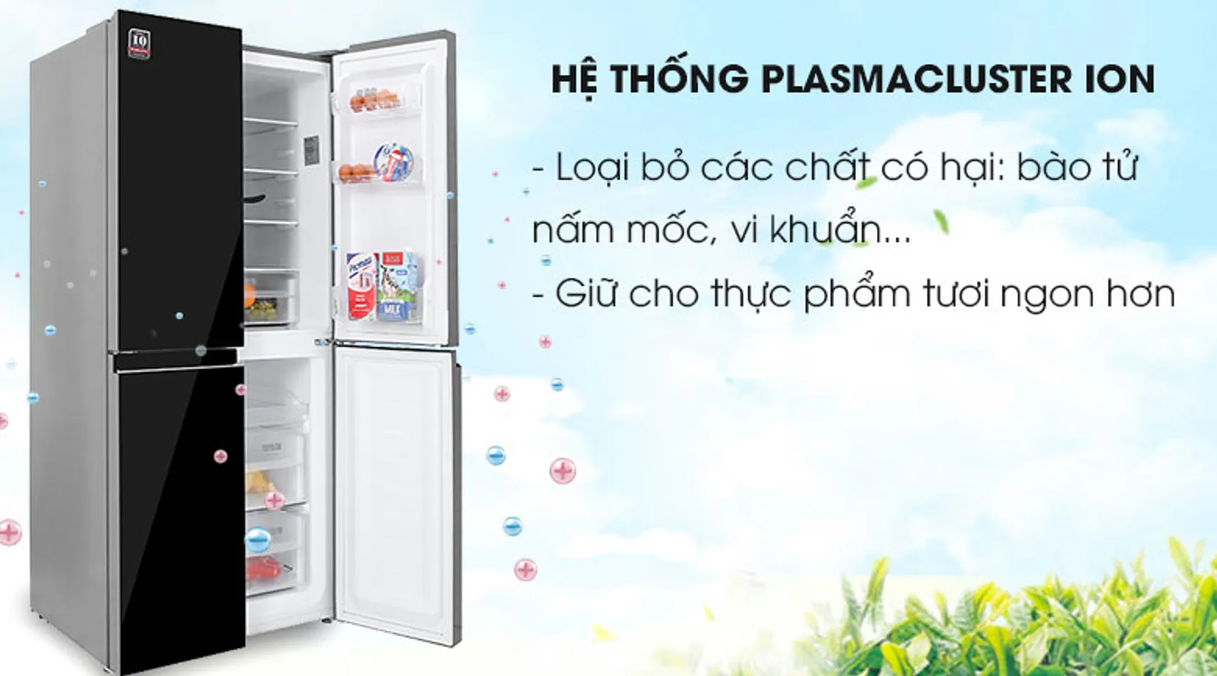 Tủ lạnh Sharp SJ-FXP480VG-BK inverter 401 lít 4