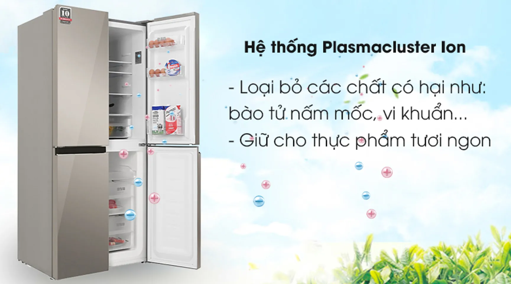 Tủ lạnh Sharp SJ-FXP480VG-CH inverter 401 lít 4