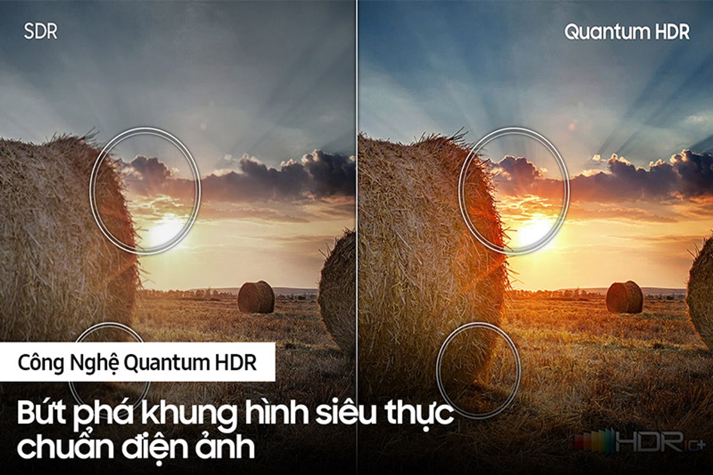 Smart tivi QLED Samsung QA55Q60A 55 inch 4K 3