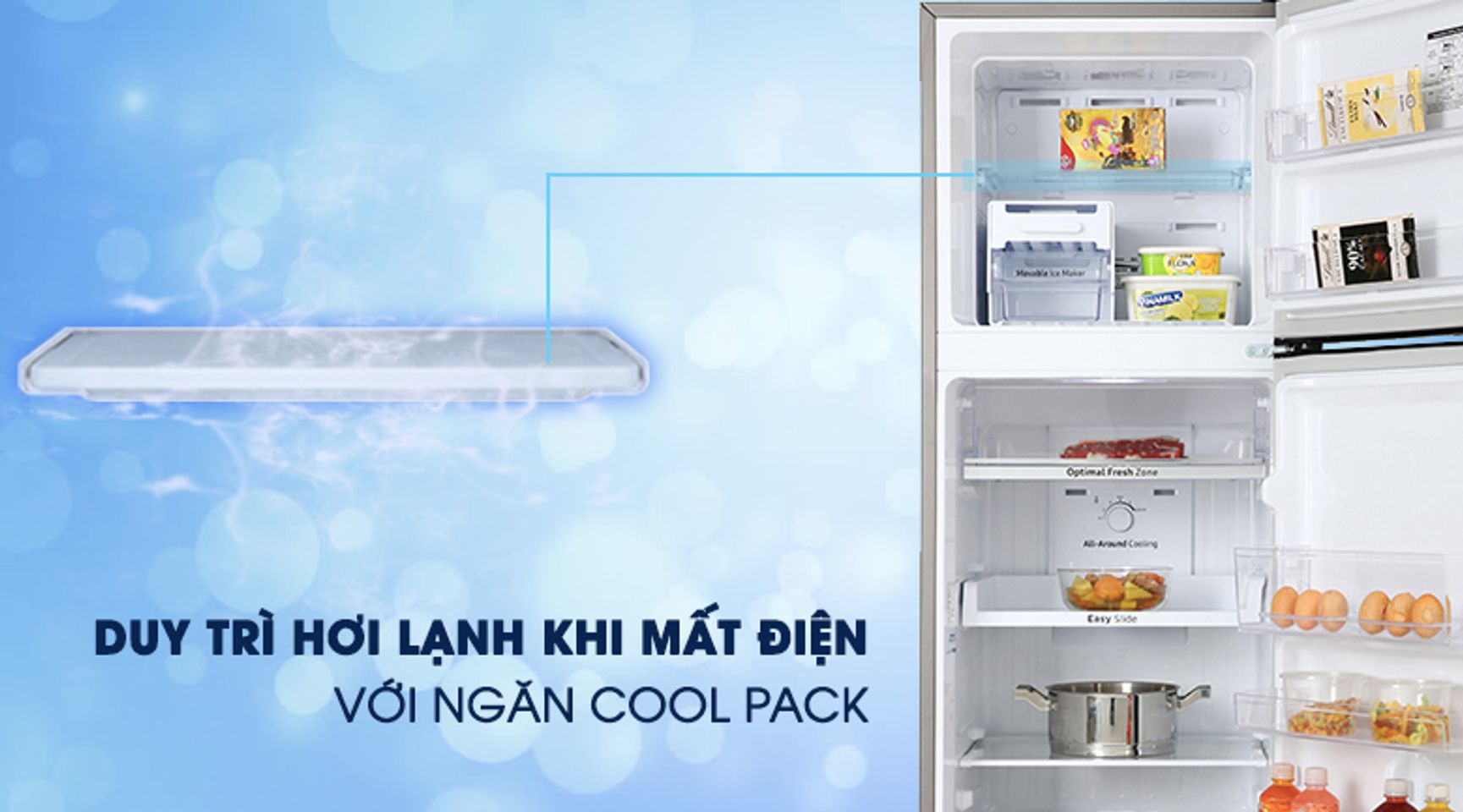 Tủ lạnh Samsung RT25M4032BY/SV inverter 256 lít 7