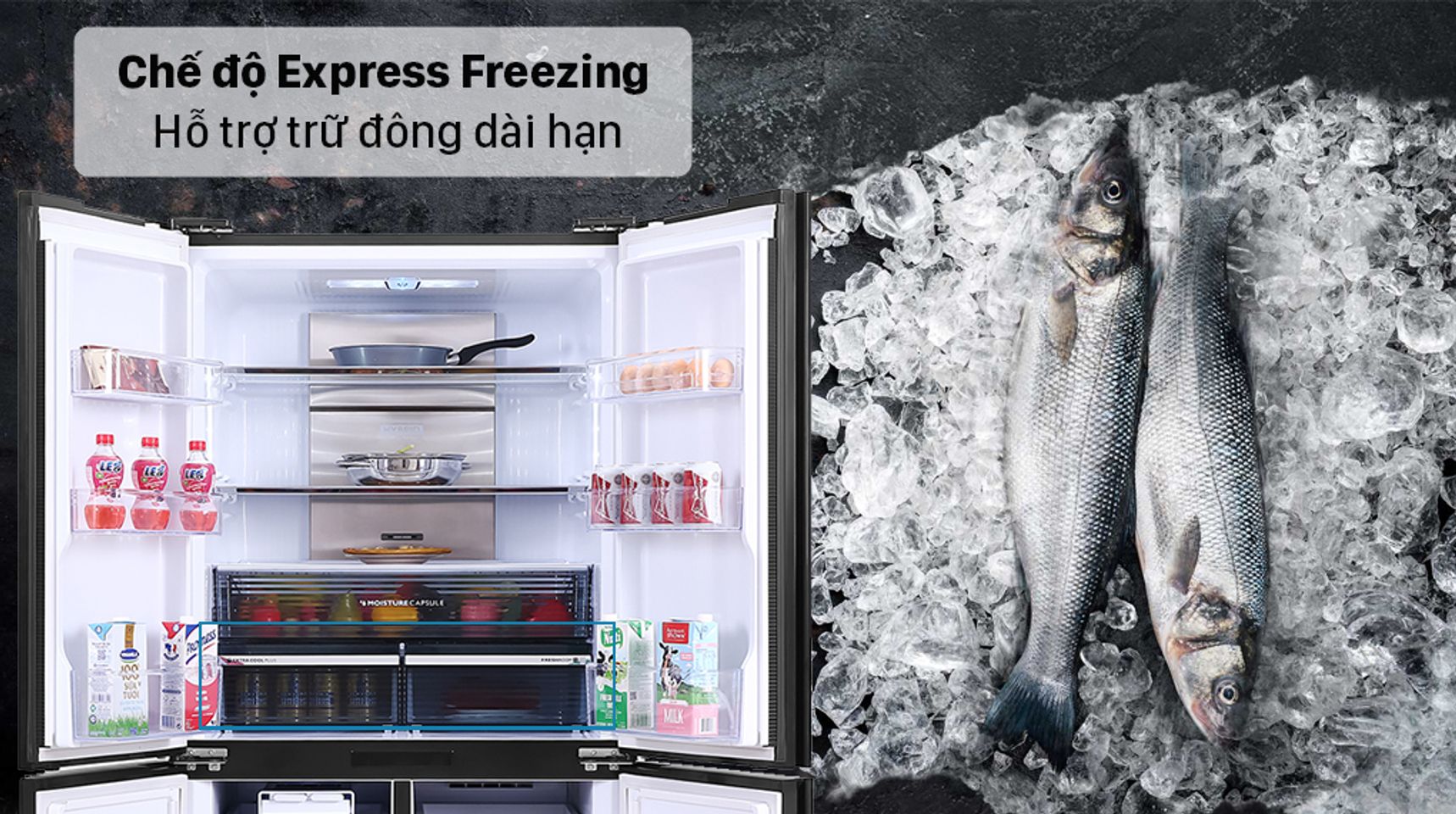 Tủ lạnh Sharp SJ-FXP640VG-MR inverter 572 lít 6