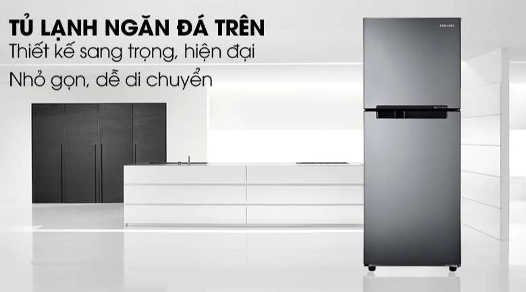 Tủ lạnh Samsung RT19M300BGS/SV 208 lít 2 cửa 2