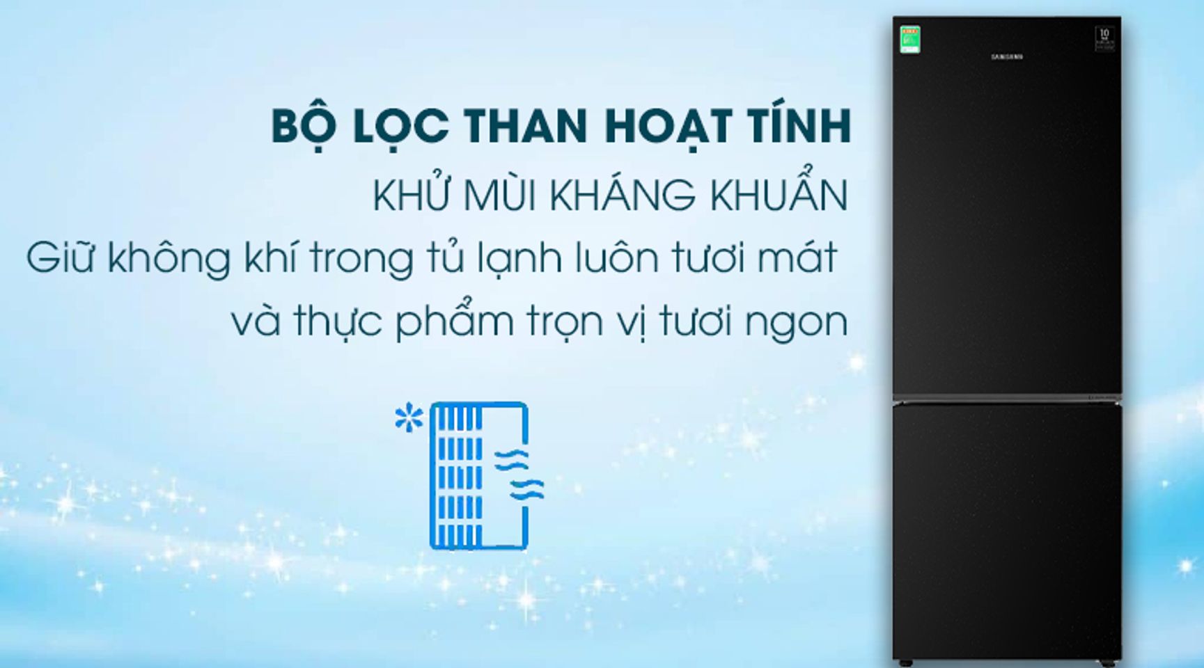 Tủ Lạnh Samsung Inverter 310 lít RB30N4010BU/SV chính hãng 5