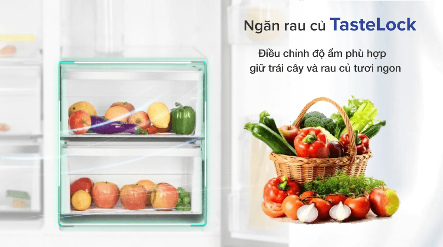 Tủ lạnh Electrolux Inverter 505 lít ESE5401A-BVN - Ngăn TasteLook