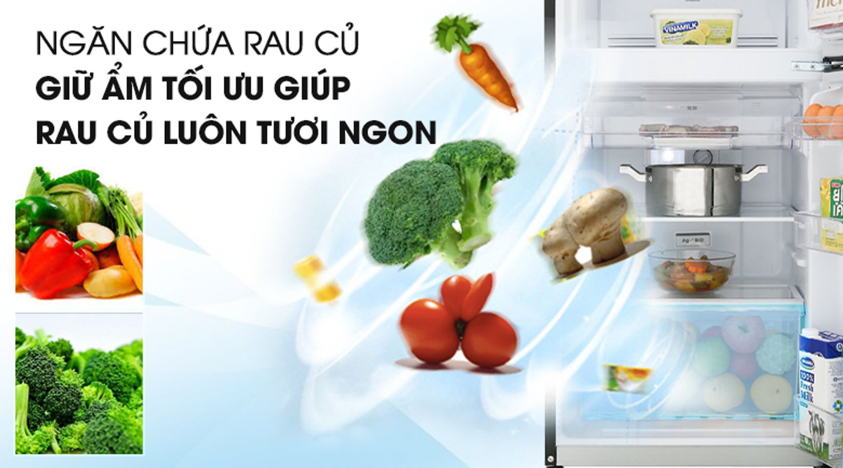 Tủ lạnh Toshiba Inverter 180 lít GR-B22VU UKG - Ngăn chứa rau lớn