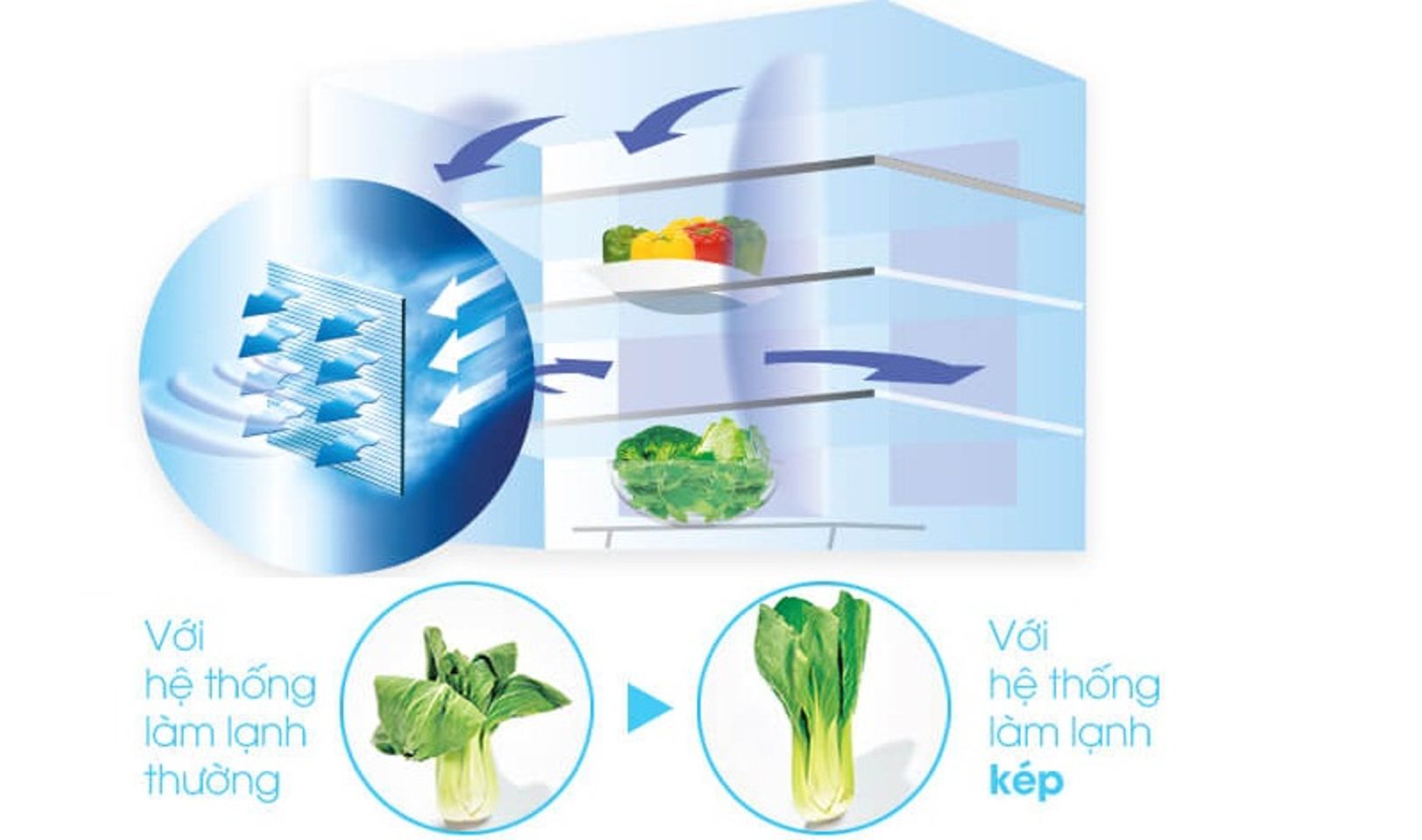 Tủ lạnh Sharp side by side - Hệ thống làm lạnh kép mang hơi lạnh tỏa đều mọi nơi trong tủ, bảo quản thực phẩm tối ưu